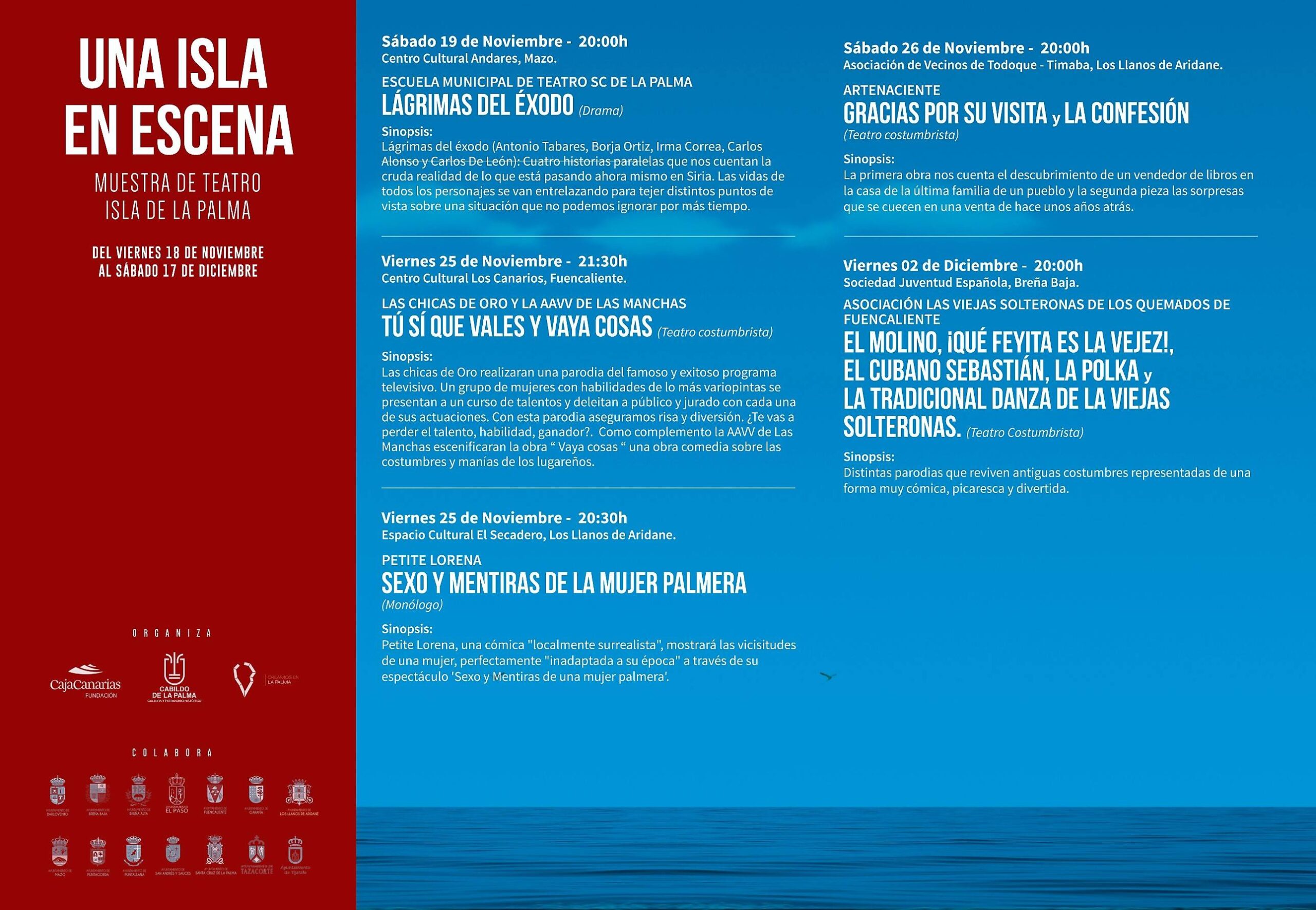 programa-web-1(1)