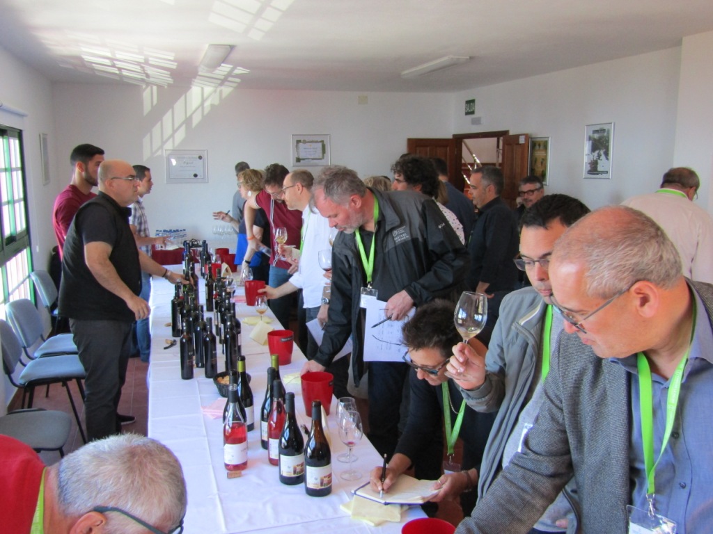 cata vinos norte