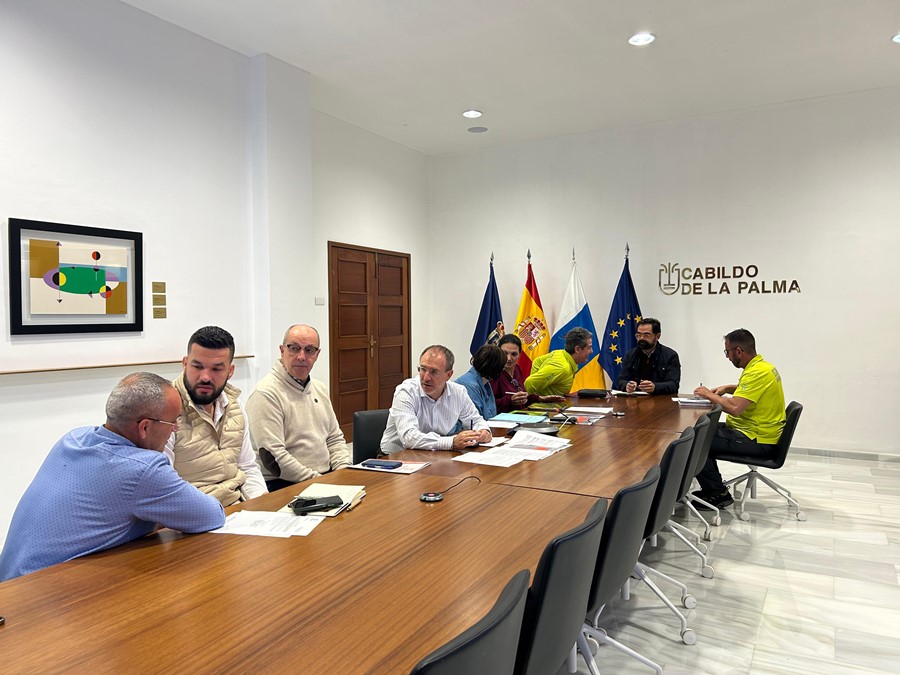 Un momento de la última reunión del Peinpal.