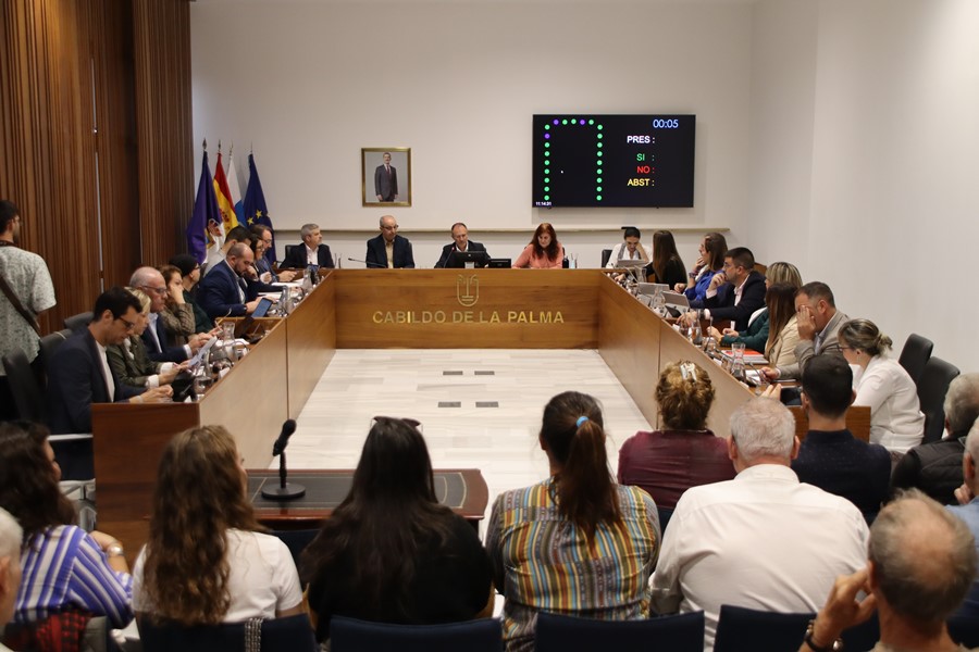 Sesión plenaria de hoy viernes en la que se ha adoptado el acuerdo.