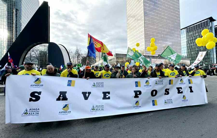 Bruselas