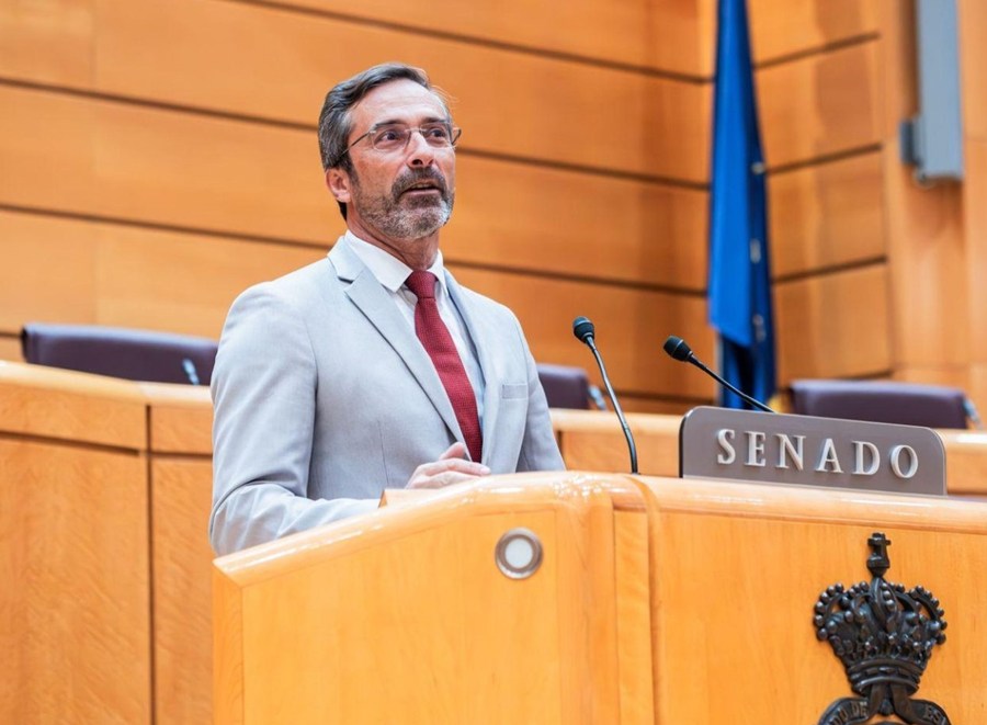 Pedro San Ginés senador Coalición Canaria (1)