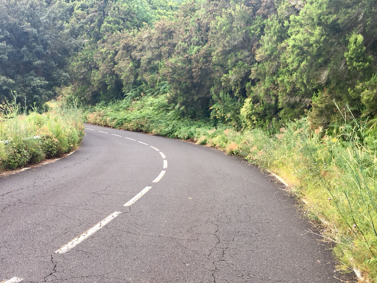 28a39a09-ce1f-4d0a-a002-abc162e5a834