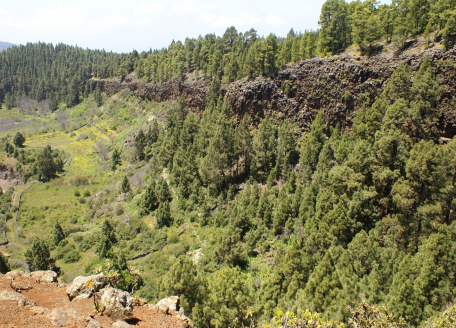 Captura de pantalla 2025-04-03 a las 19.18.35