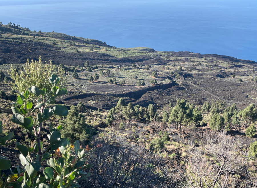 Captura de pantalla 2025-05-22 a las 21.04.01