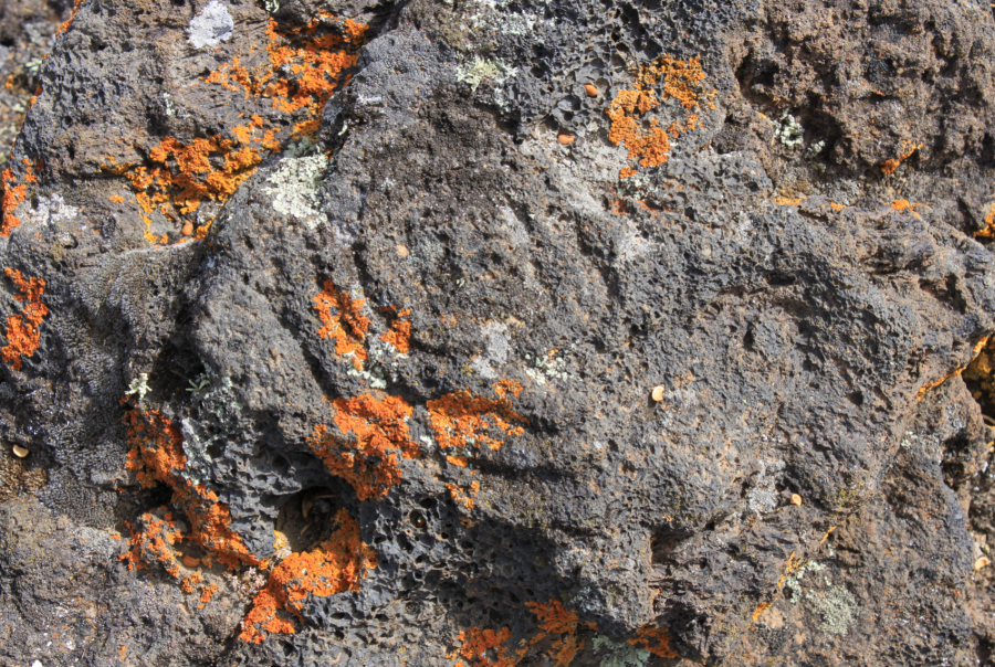 Captura de pantalla 2025-05-22 a las 21.09.35