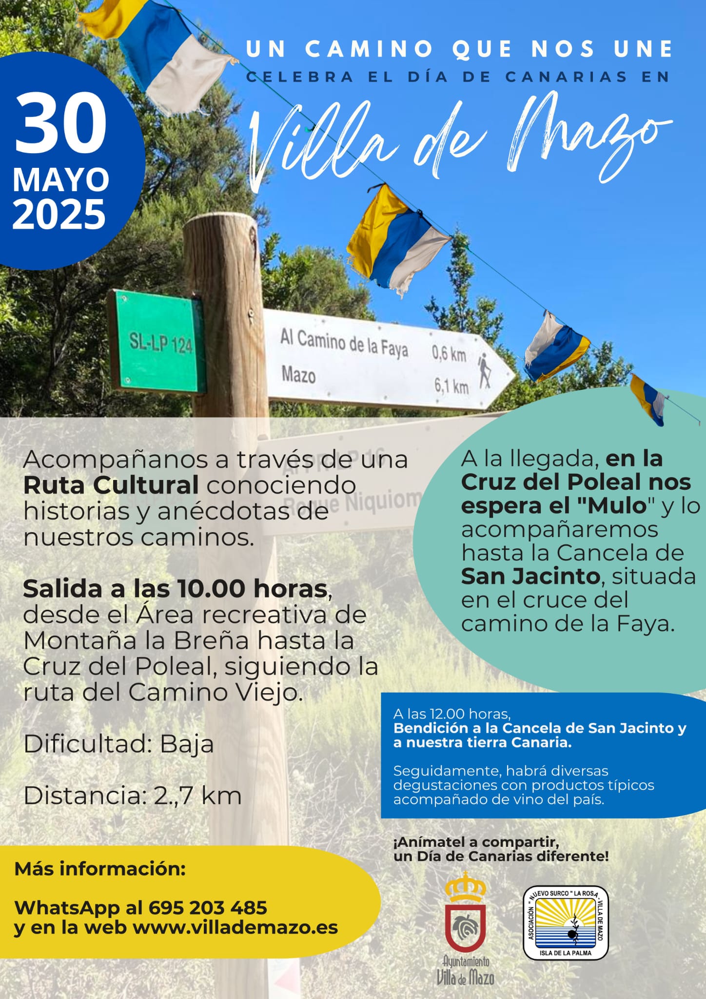 Cartel Día de Canarias