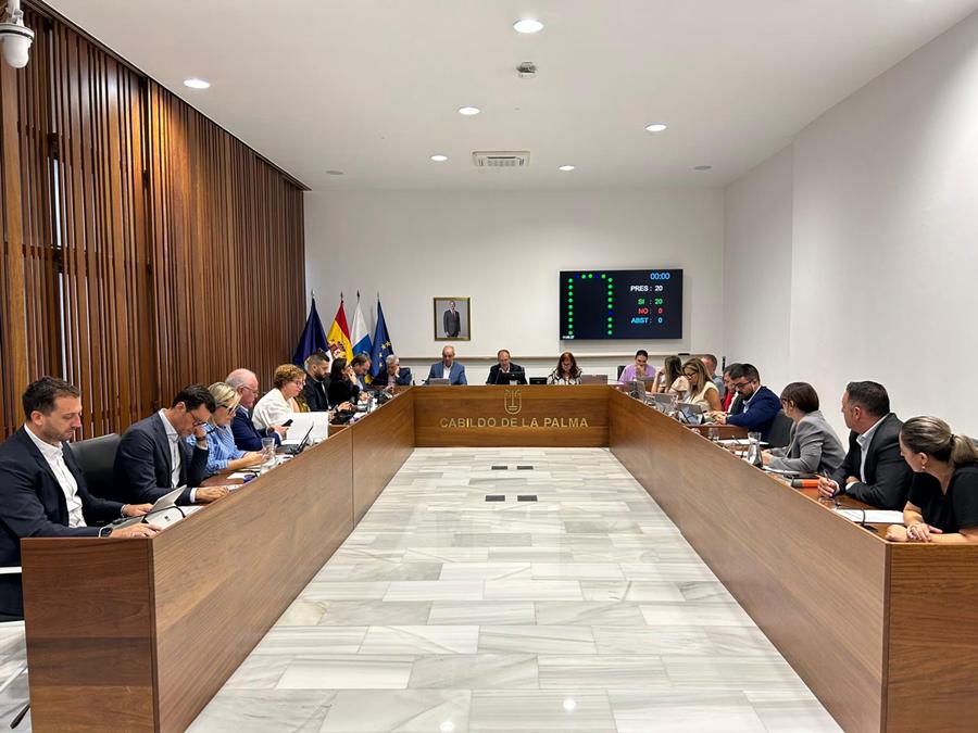 El Pleno del Cabildo aprobó este jueves la iniciativa sobre el Covid persistente.