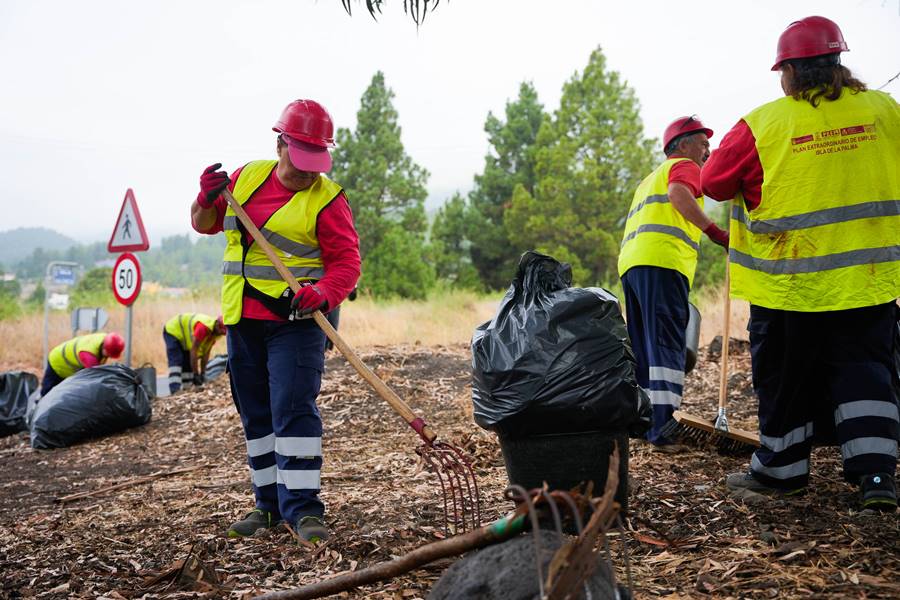 Archivo. Plan Extraordinario de Empleo de La Palma.