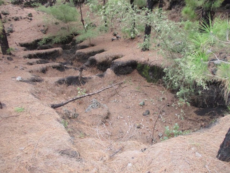 Fotografía Fosa del Alcalde. Autor desconocido, cedida por María Victoria Hernández