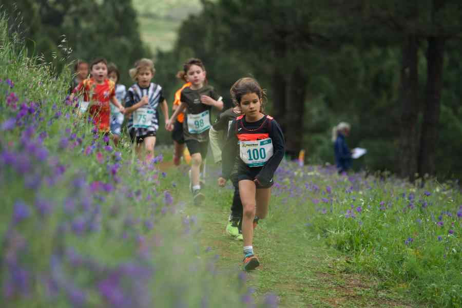 Imagen de WhatsApp 2025-04-04 a las 21.05.00_32422b1c