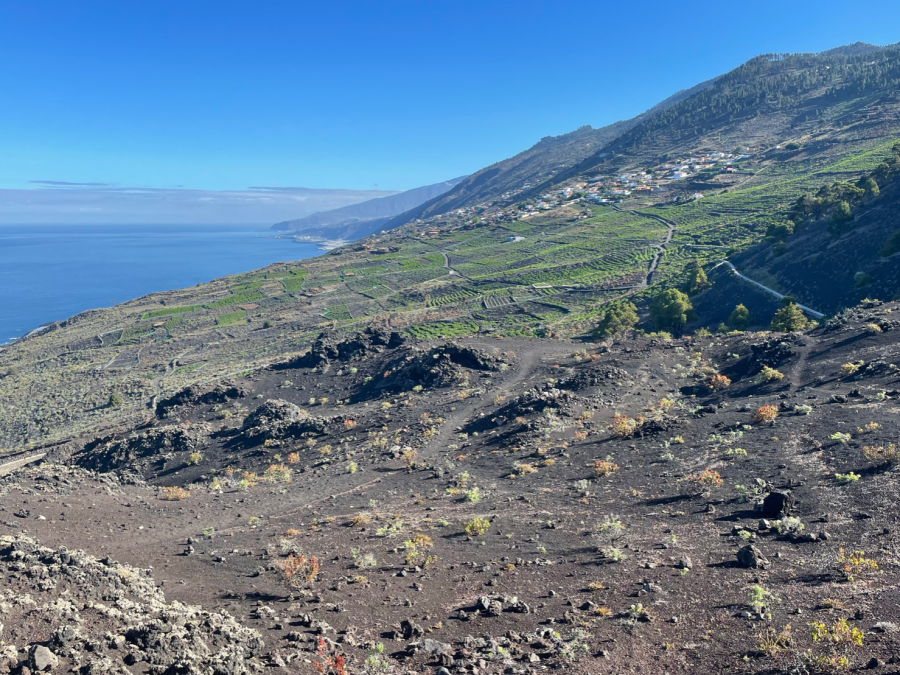 Llanos Negros. J Pais