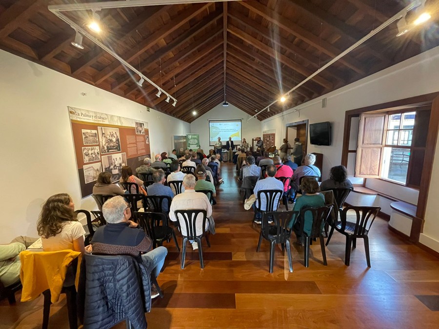 Plantas canarias agricultura 2