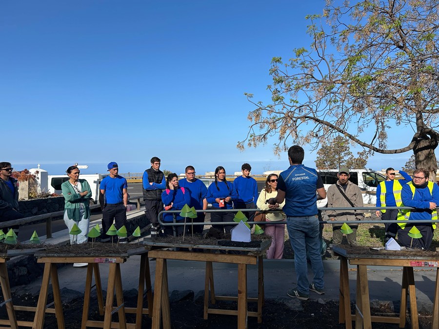 Prevención Incendios 2