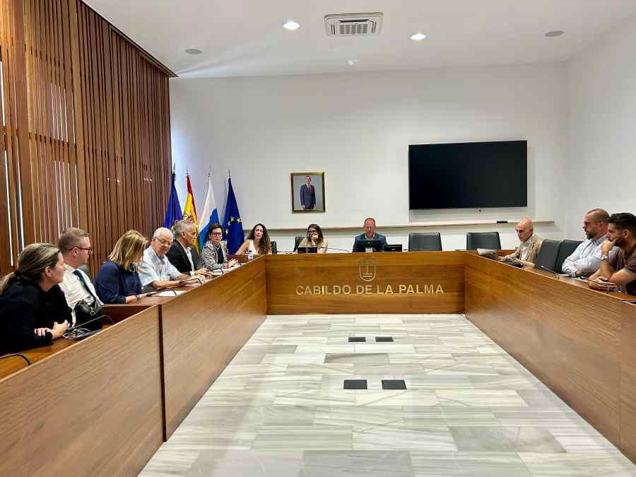 Reunión CIT Insular