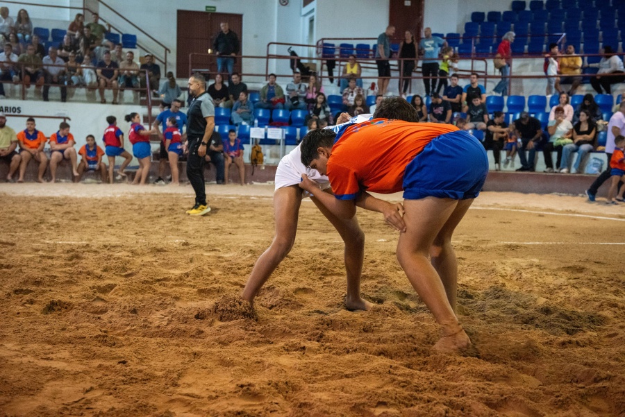 Torneo FajÍn de Lucha Canaria La Palma 2