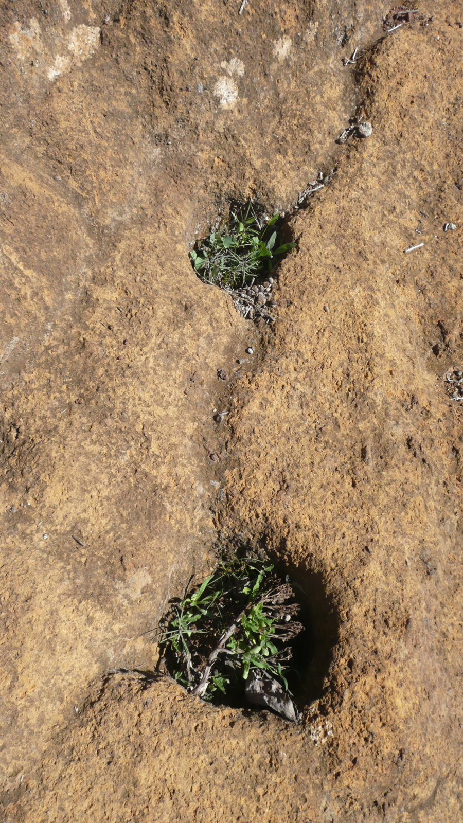 Canales y cazoletas.