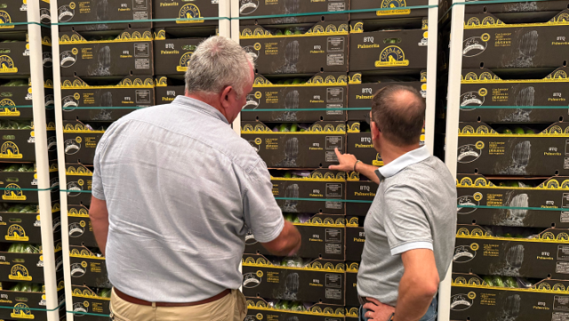 capture-20251117-153727