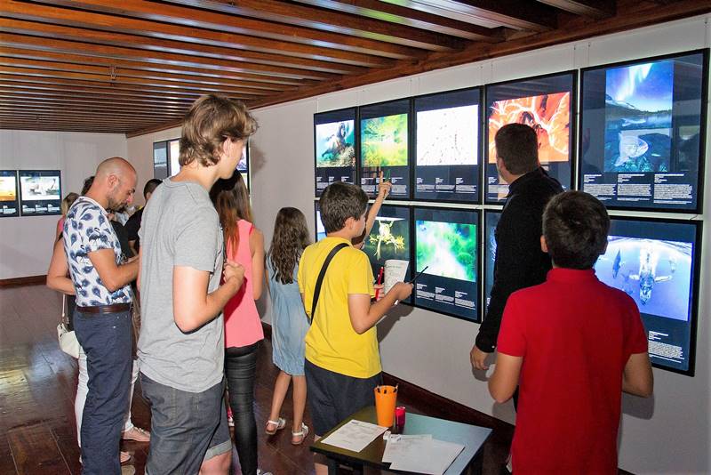 cb Apertura exposiciones CajaCanarias001(1)