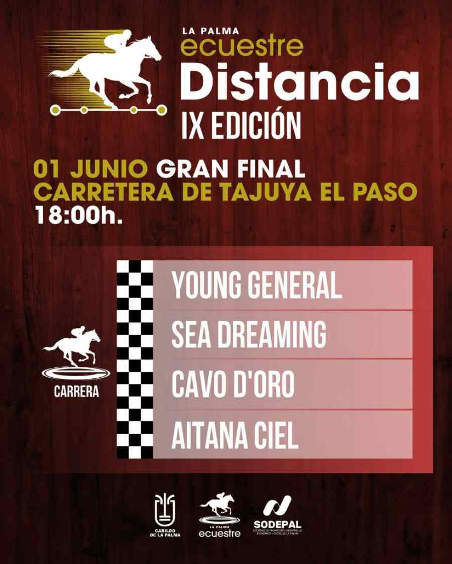 final_distancia25-820x1024