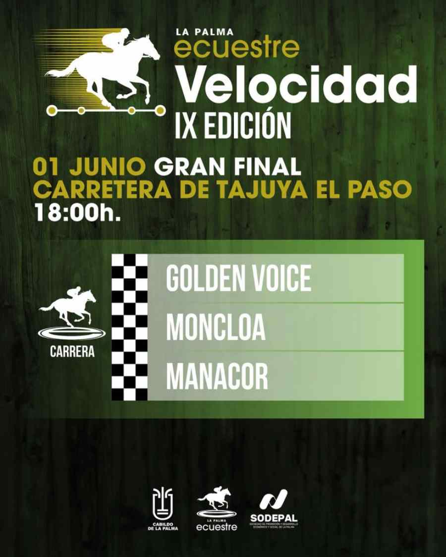 final_velocidad-820x1024