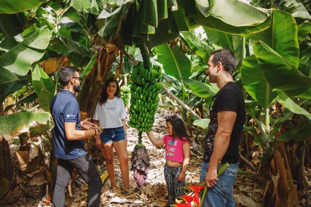 ganadores-concurso-plátano-canarias-turismo_2