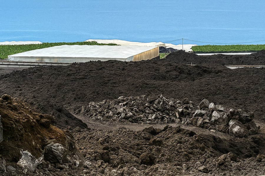 zona de plataneras dañada por la erupción y pendiente de reconstruir